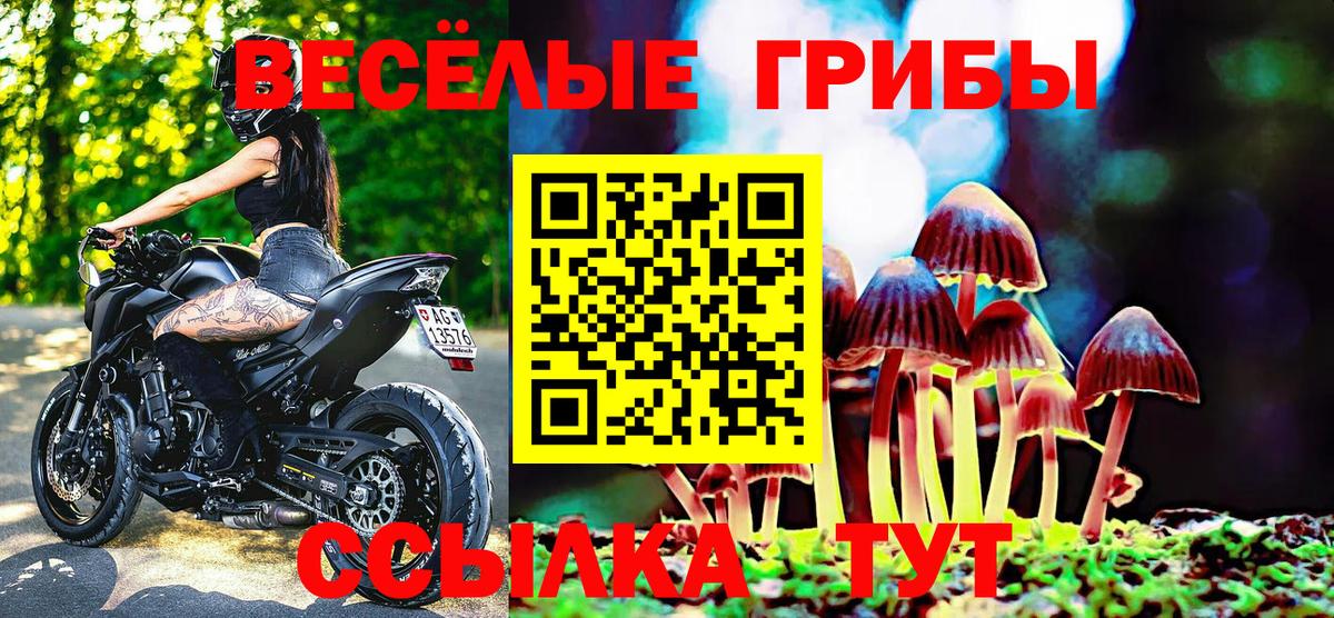 Галлюциногенные грибы MAGIC MUSHROOMS  Вход с VPN  Галлюциногенные грибы MAGIC MUSHROOMS  Сарапул 